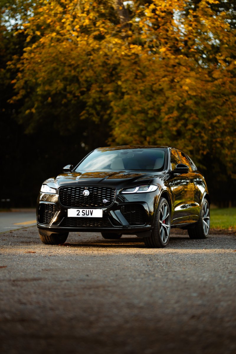 saxtonsofficial's tweet image. Just landed... 2023 Jaguar F-PACE SVR 5.0 V8 🖤

Now available at Saxton 4x4📍

Colour: Santorini Black
Mileage: 9,517
Price: £60,750
Reg: LC23 XHR
Link: saxton4x4.co.uk/vehicle/jaguar…

#Jaguar #FPace #JaguarFPace #SVR #FPaceSVR #JLR #V8