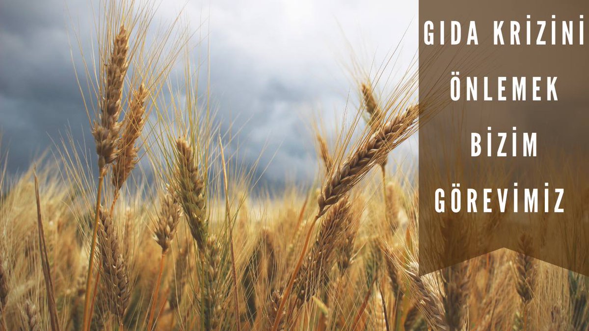 Ülkemizin geleceği toprakta yeşerir. Toprağın en iyi dostu olan ziraat mühendislerine daha fazla yatırım yapmalıyız. #YumaklidanZiraateAtama 
<a href="/ibrahimyumakli/">İbrahim Yumaklı</a>
<a href="/TCTarim/">T.C. Tarım ve Orman Bakanlığı</a>
<a href="/VahitKirisci/">Prof.Dr.Vahit Kirişci</a>
<a href="/bekirgizligider/">Ebubekir GİZLİGİDER</a>
<a href="/akadirpolat1/">Abdulkadir Polat</a>
<a href="/AhmetGumen/">Ahmet GÜMEN</a>
<a href="/ahmtbgc/">Ahmet Bağcı</a>
<a href="/AyhanBarut01/">Ayhan Barut</a>
<a href="/muharremvarli01/">Muharrem VARLI</a>