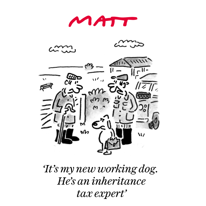 Matt Cartoons tweet media