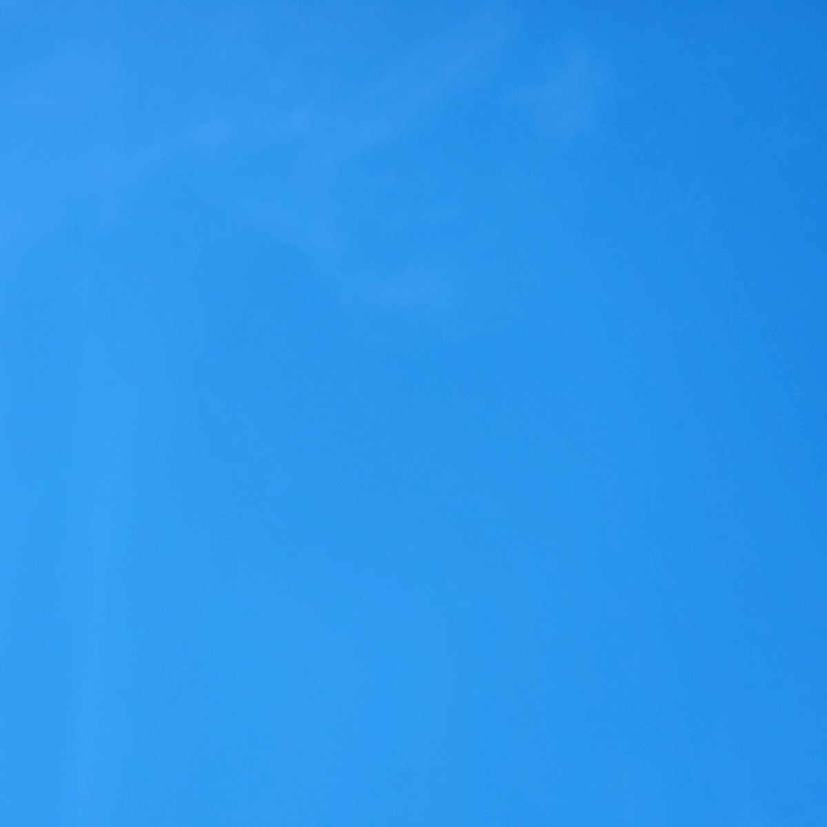 Kenneth Bykerk tweet media