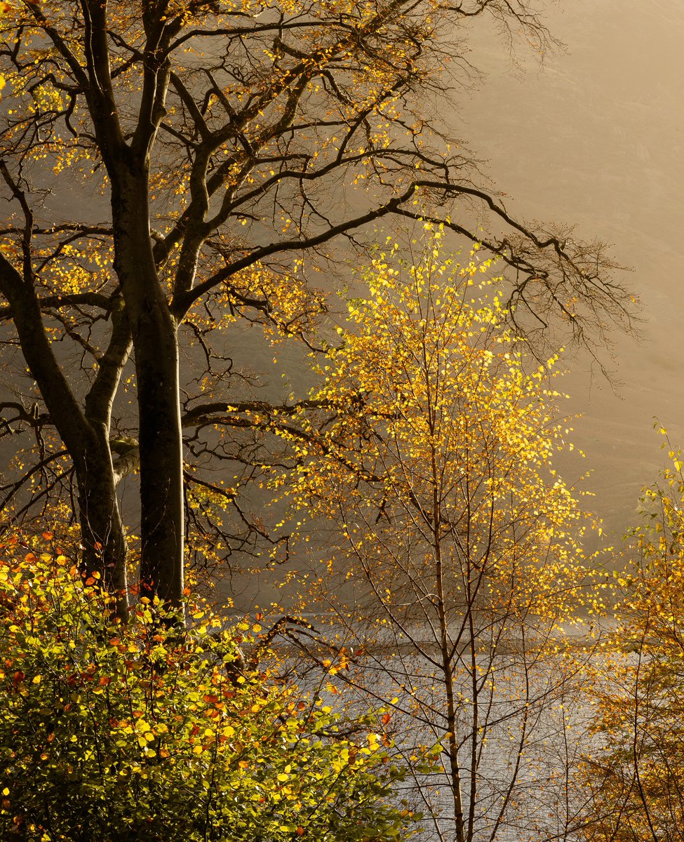 overland_jamie's tweet photo. Meanwhile back in the Lakes, I got some decent morning light on my last morning down at Ullswater https://t.co/qDVmWAADOP