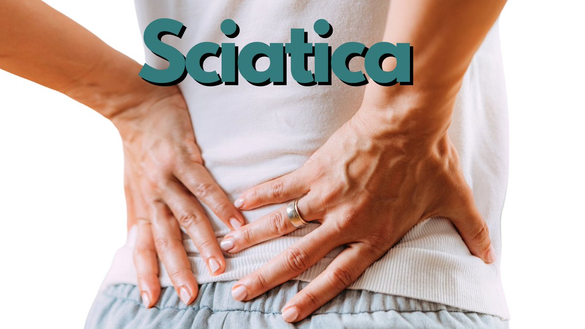 Sciatica can be painful!

It is a very treatable problem. Often, a short course of treatment is all that is needed to remove sciatic pain

Book via avenue-health-ltd.cliniko.com/bookings

#sciatica #sciaticpain #piriformis #buttockpain #legpain #sharppain #nervepain #PainFree #Surrey
