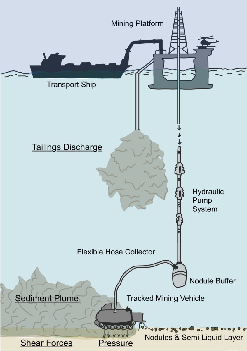 LDAC_eu's tweet photo. 🚨The LDAC has adopted today an advice jointly with the #NWWAC, #PELAC and #SWWAC on potential impacts of #deepsea #mining on fisheries with focus on Norway drilling plans in the Arctic. Robust Science and Precautionary approach must prevail:
https://t.co/6vsJJpyEcO https://t.co/qQygTqGZ0t