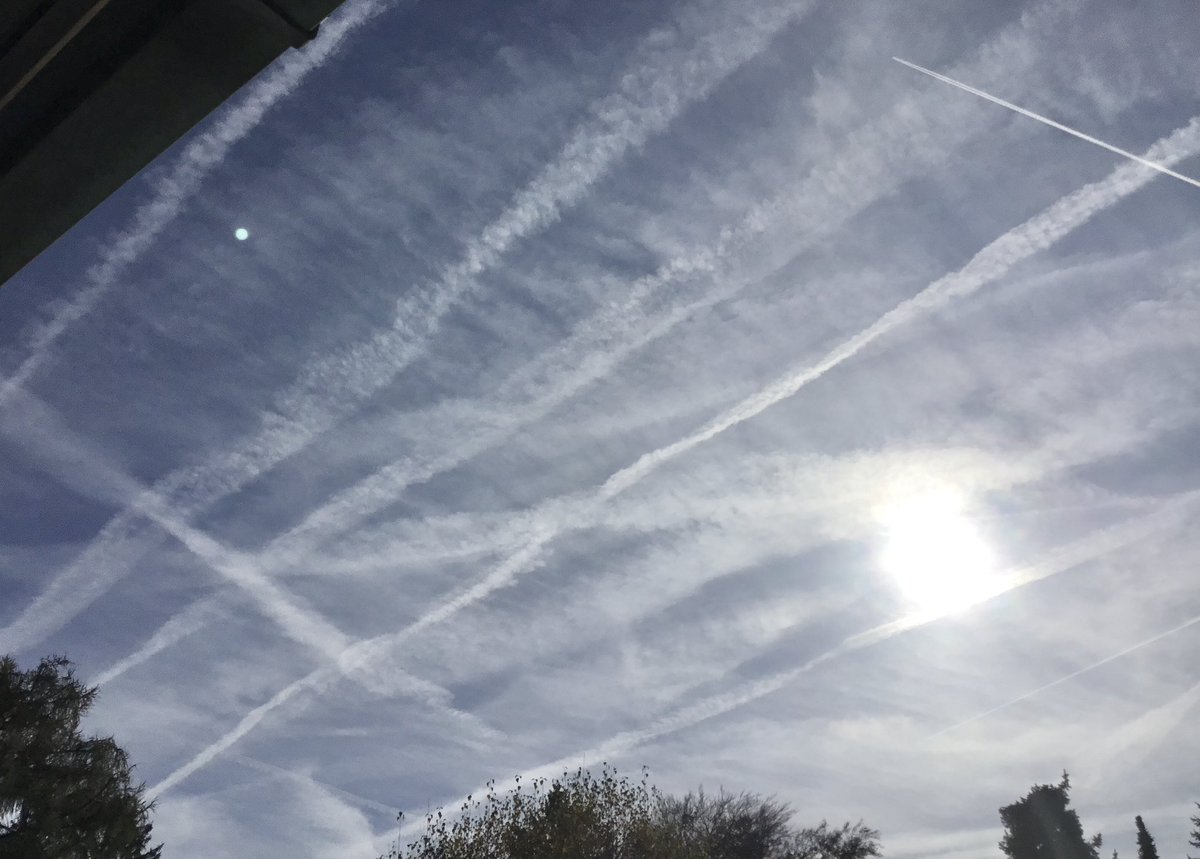 Birgitauer tweet media