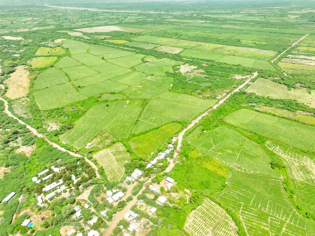 Awel Arba tweet media