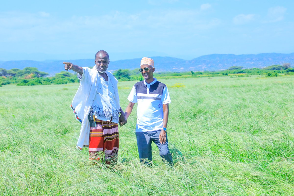 Awel Arba tweet media