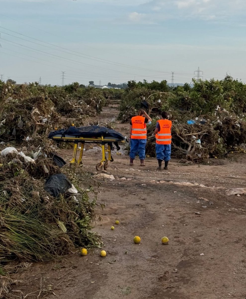 vitoquiles's tweet photo. 🚨#URGENTE | La Guardia Civil encuentra dos cuerpos más en una parcela de campo en Torrent (Valencia)

Los vecinos afirman que “es el tercer día consecutivo que vienen a llevarse cadaveres”

¿Por qué leches no actualizan la cifra oficial? https://t.co/y0RLaklIPC
