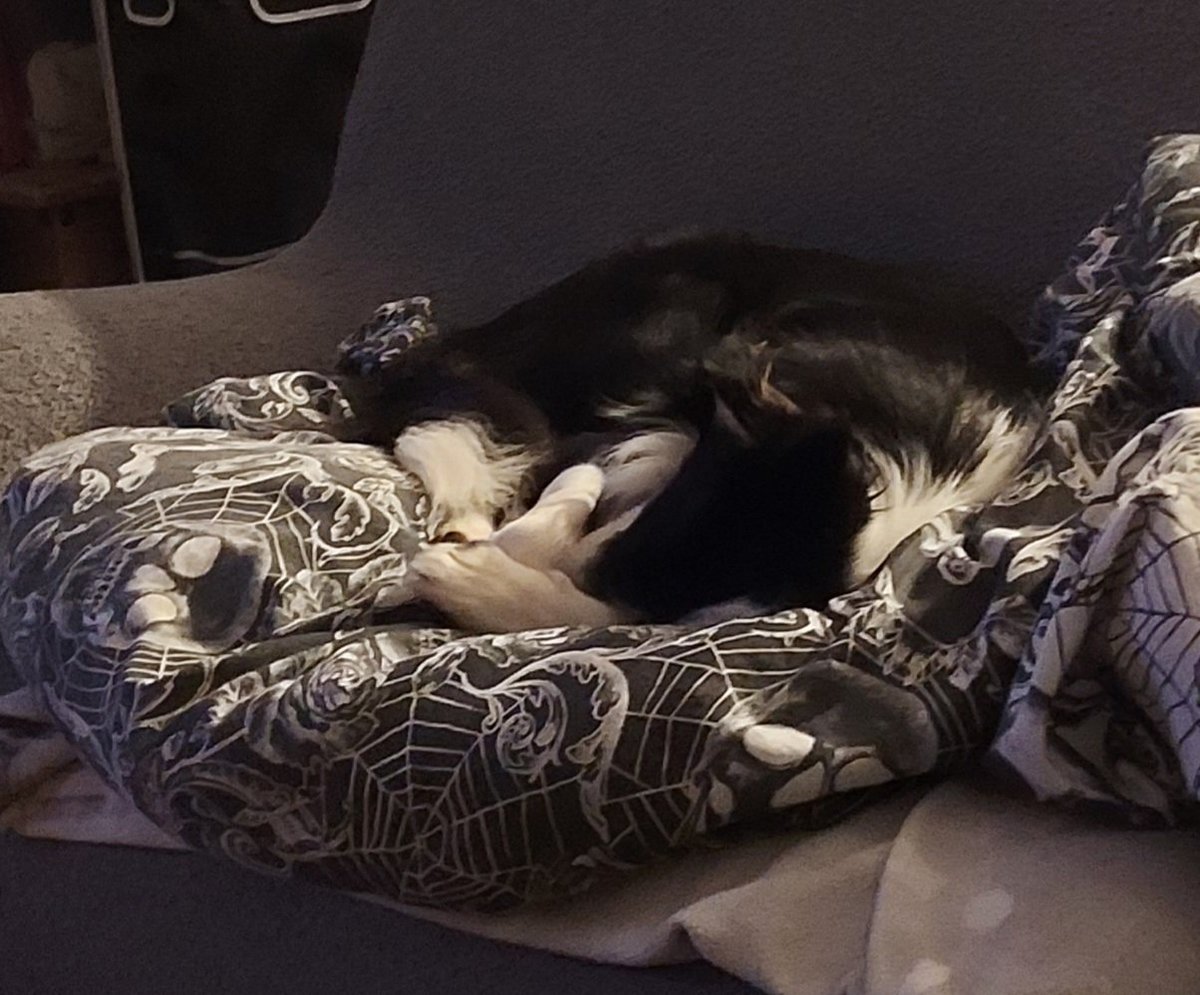 Kerry Yates 💙💙💙💙🇺🇦 💚💚💚💜🏳️‍🌈 tweet media