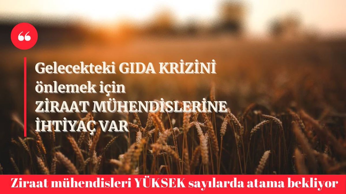 <a href="/Seyfullahaslntk/">Seyfullah Arslantürk</a> <a href="/TCTarim/">T.C. Tarım ve Orman Bakanlığı</a> <a href="/tarimormanpgm/">Personel Genel Müdürlüğü</a> Geleceğin tarım uzmanları olarak yetişen genç ziraat mühendisleri, ülkemizin tarımsal kalkınmasına katkı sağlamak için sabırsızlanıyor. Onların sesini duyuralım! #YumaklidanZiraateAtama <a href="/ibrahimyumakli/">İbrahim Yumaklı</a> <a href="/TCTarim/">T.C. Tarım ve Orman Bakanlığı</a> <a href="/VahitKirisci/">Prof.Dr.Vahit Kirişci</a> <a href="/bekirgizligider/">Ebubekir GİZLİGİDER</a> <a href="/akadirpolat1/">Abdulkadir Polat</a> <a href="/AhmetGumen/">Ahmet GÜMEN</a> <a href="/ahmtbgc/">Ahmet Bağcı</a>