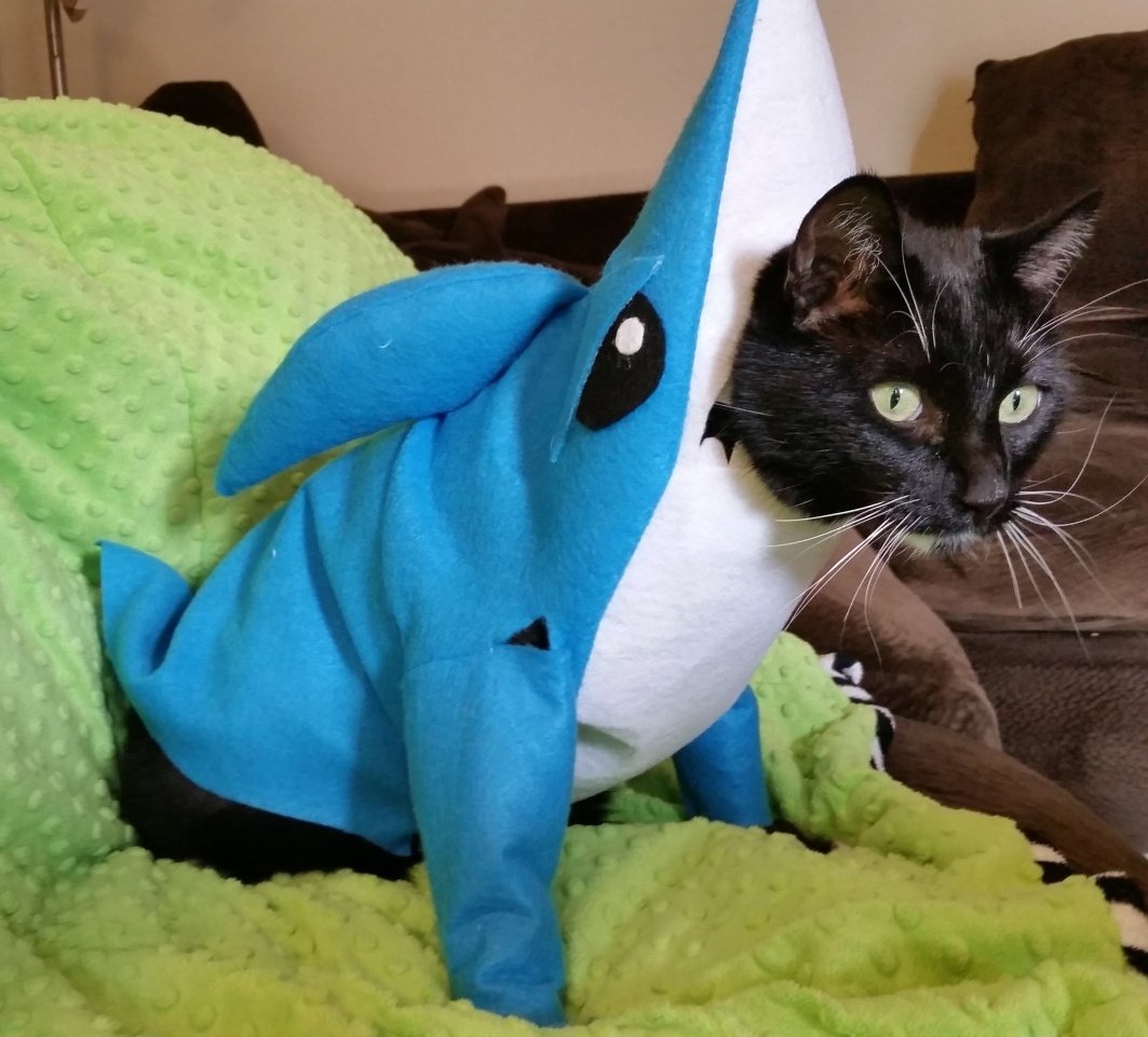 Cat_Cosplay's tweet photo. Timeline Clense

#LeftShark https://t.co/HYuexj2j6v