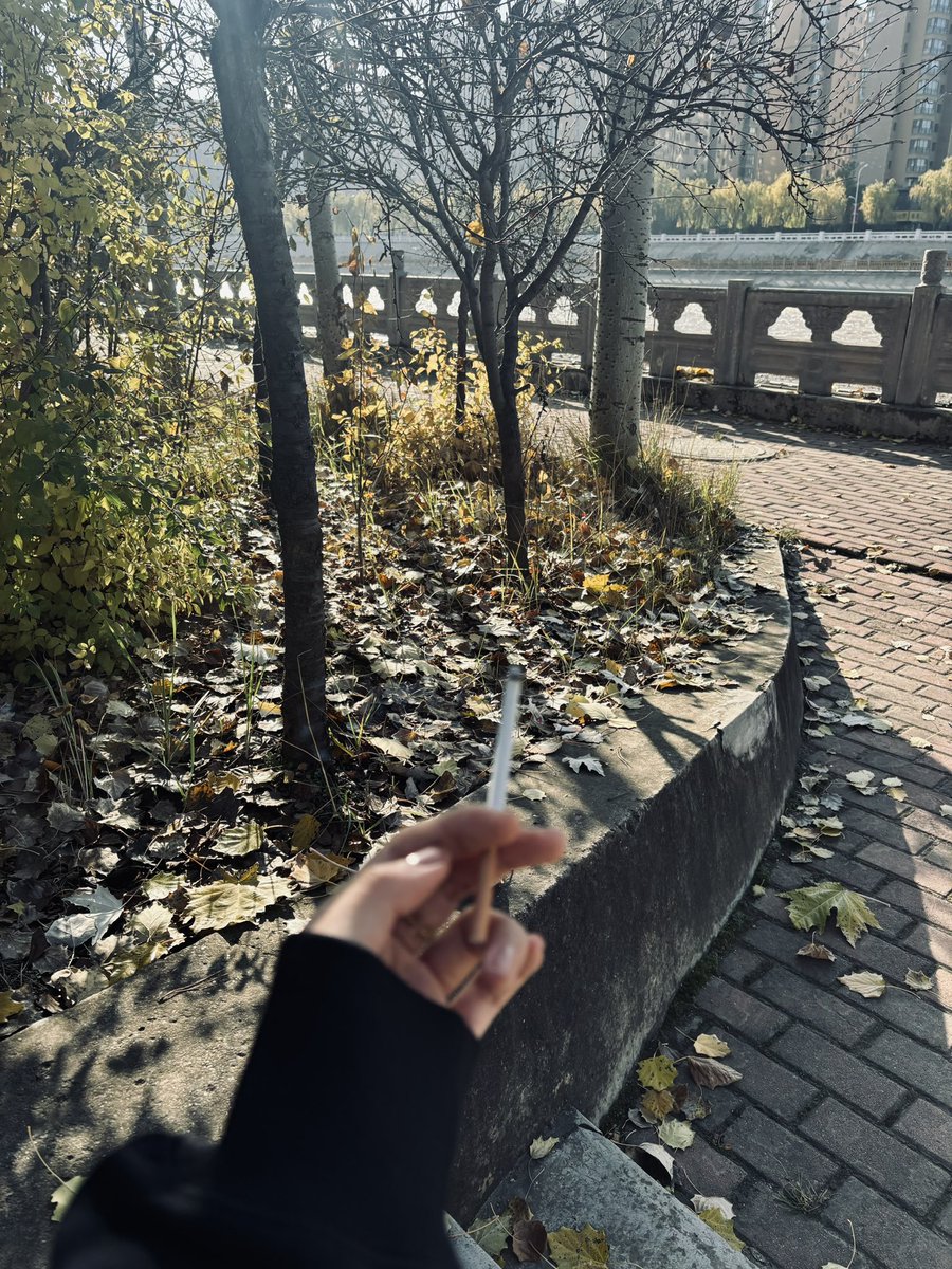 bidibadili's tweet photo. 🚬 https://t.co/4YTrK8cIzl
