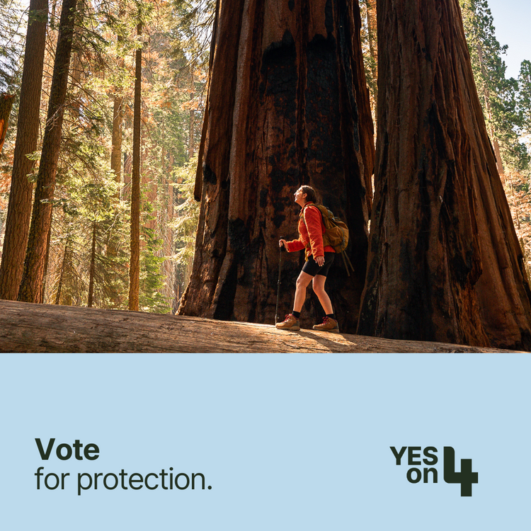 EEC_California's tweet photo. VOTE TODAY! #YesonProp4 represents a historic shift from disaster response to disaster prevention. It saves Californians billions of dollars in damages and saves lives by investing in proven solutions to: prevent wildfires, provide clean drinking water &amp; protect our iconic lands! https://t.co/jeQzZW6ZbS