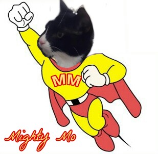 MightyMolasses's tweet image. This is Mo's superhero pose. He'll swoop in and save me before the crazies get me! #MightyMo #TuxieTuesday 💋🐈‍⬛