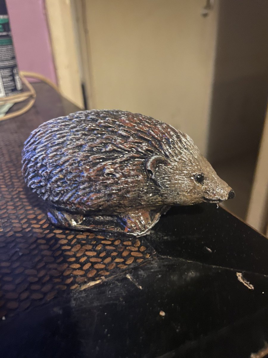 TjoLoLo7's tweet photo. So for the last 3 days all I heard is fireworks 💥 

So hopefully there will be No more #Fireworks 

Our animals and people can rest peacefully

#IHateFireWorks 
#Fireworks
#Cats
#Dogs
#Pets
#Hedgehogs
#Wildlife
#PTSD https://t.co/usoBs1WtDH