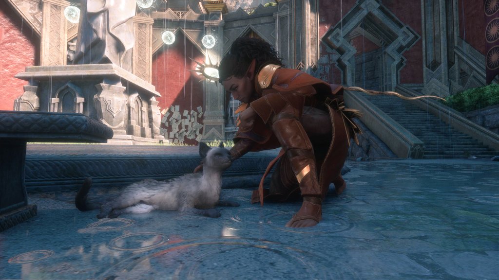 TJTishy's tweet photo. I came to chat up women and pet animals 👏 #DragonAgeVeilguard https://t.co/H54s0vDMre