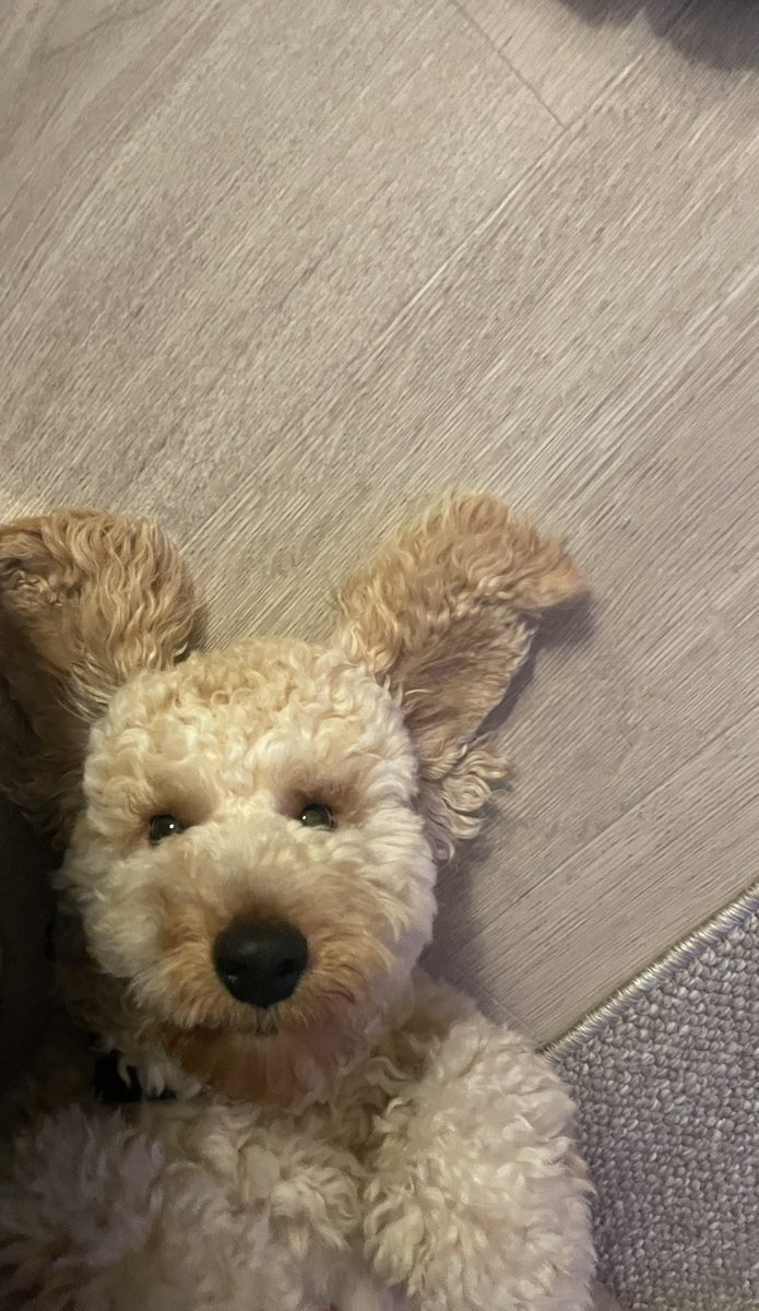 Dean Smyth tweet media