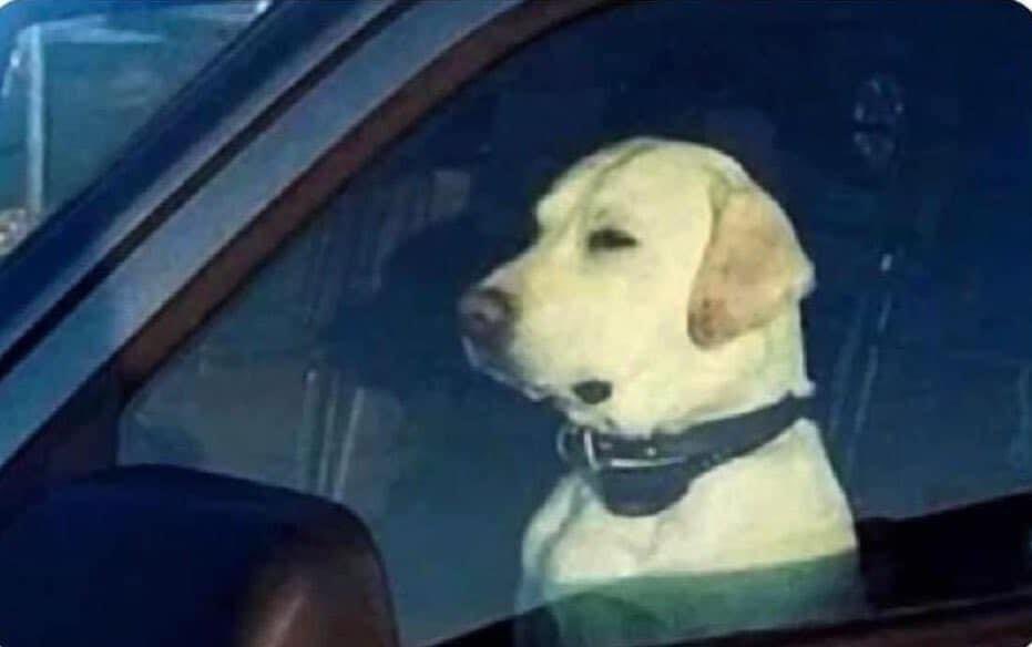 Yo esperando a que termine la canción para bajarme del carro: