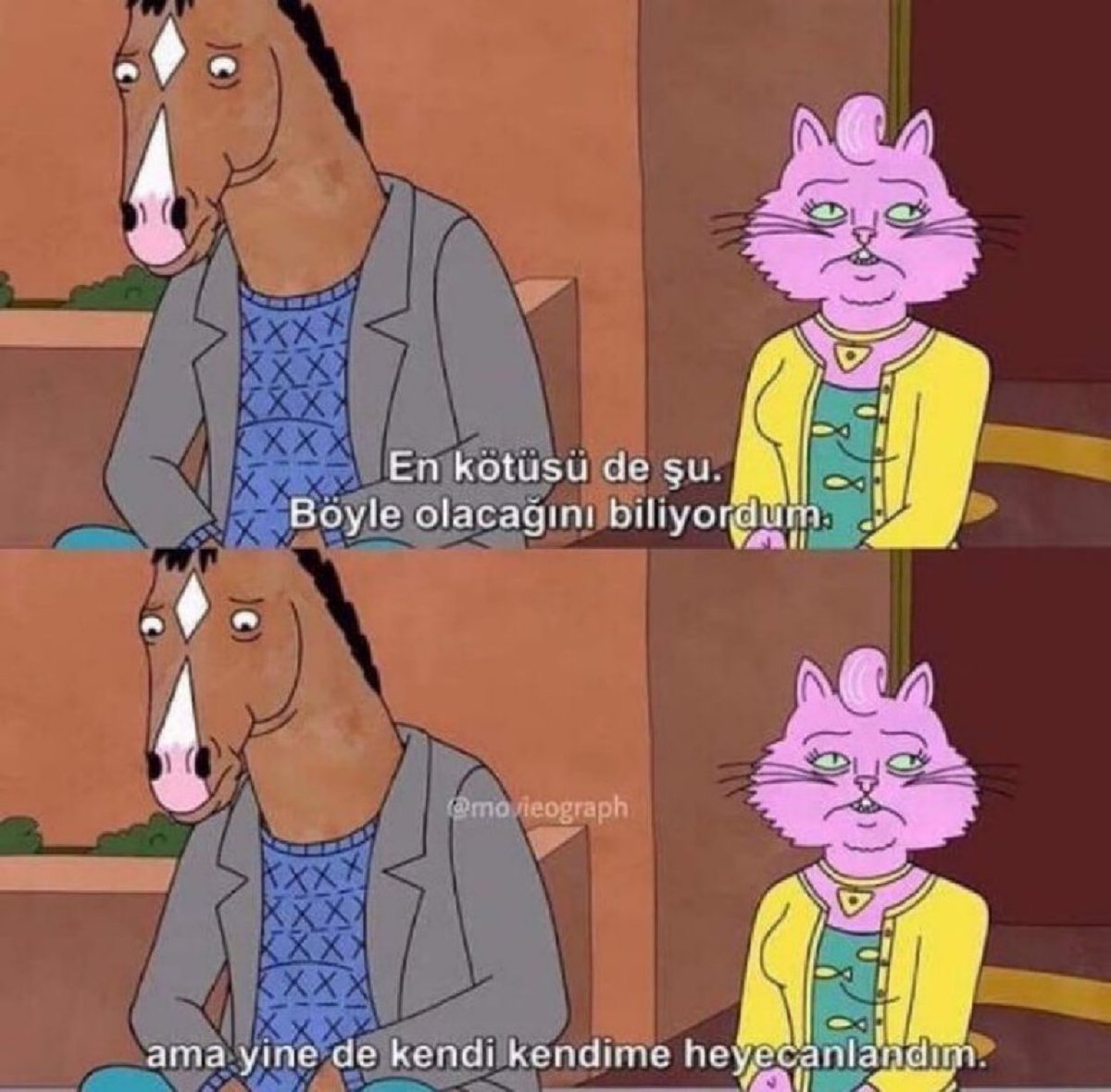 CryptoWolfManTR's tweet photo. “En kötüsü de şu: Böyle olacağını biliyordum. Ama yine de kendi kendime heyecanlandım.” 

(BoJack Horseman) https://t.co/RRgBkkOBbX