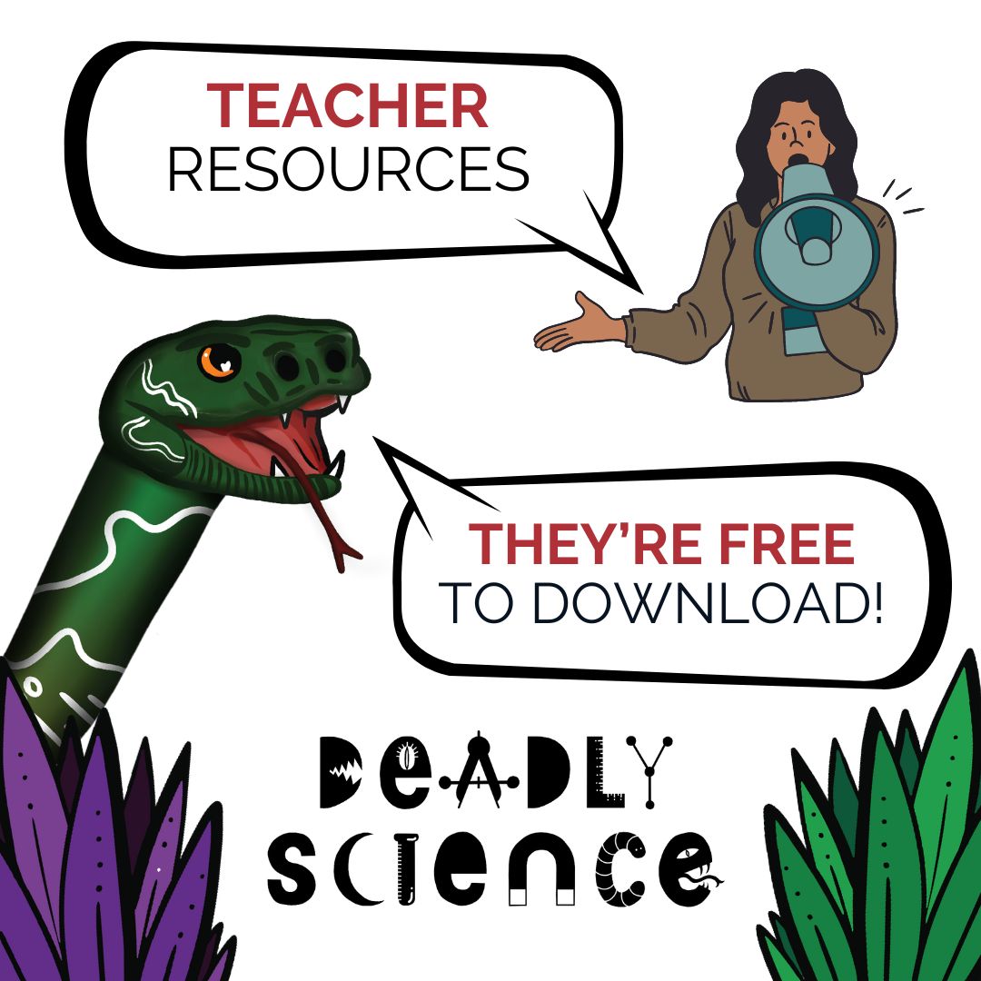 StrongerSmarter's tweet image. Big news! 🌟 @DeadlyScience  has unveiled a selection of free resources for teachers, designed to infuse classrooms with the wonders of STEM and the rich teachings of First Nations cultures. 

#STEMTeachers #STEMResources #DeadlyScience 

[1/2]