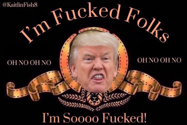 Tommy 🇺🇦💙🏳️‍🌈☘️ tweet media