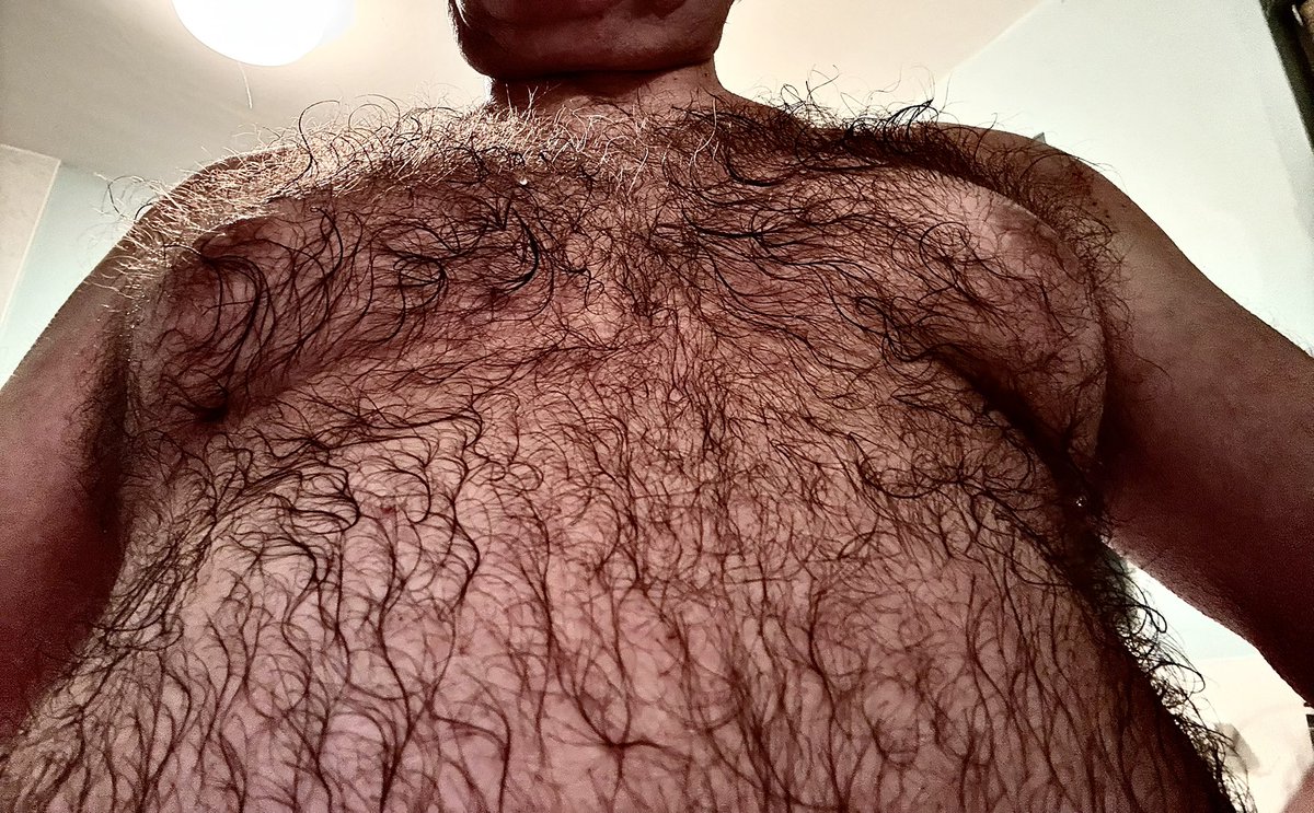 chest_guy's tweet photo. https://t.co/YFl3PQzAvj