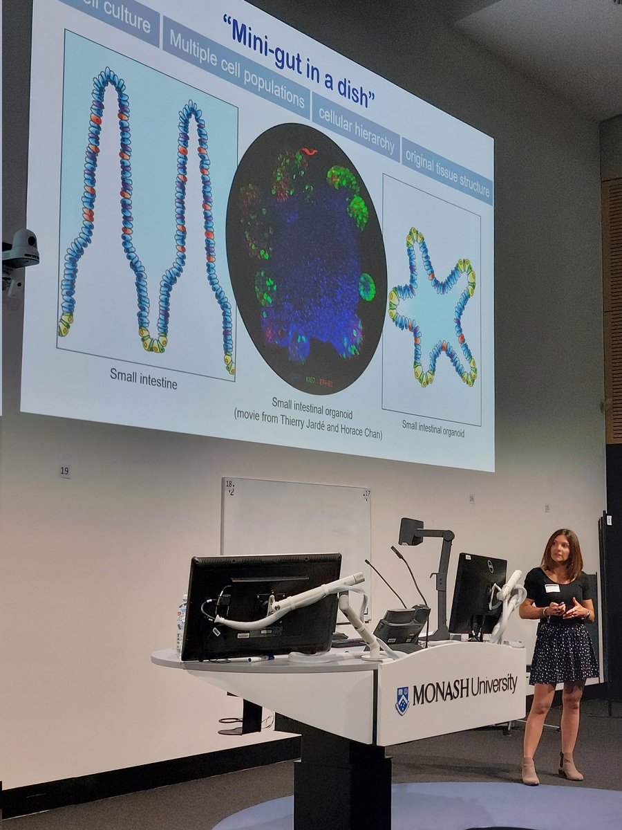 Monash BDI Organoid Program (@monashorganoids) on Twitter photo Kicking off the symposium with the basics but absolute essentials!! Thank you <a href="/EglantineBalla1/">Eglantine Balland</a> 🔬 Kicking off the symposium with the basics but absolute essentials!! Thank you <a href="/EglantineBalla1/">Eglantine Balland</a> 🔬