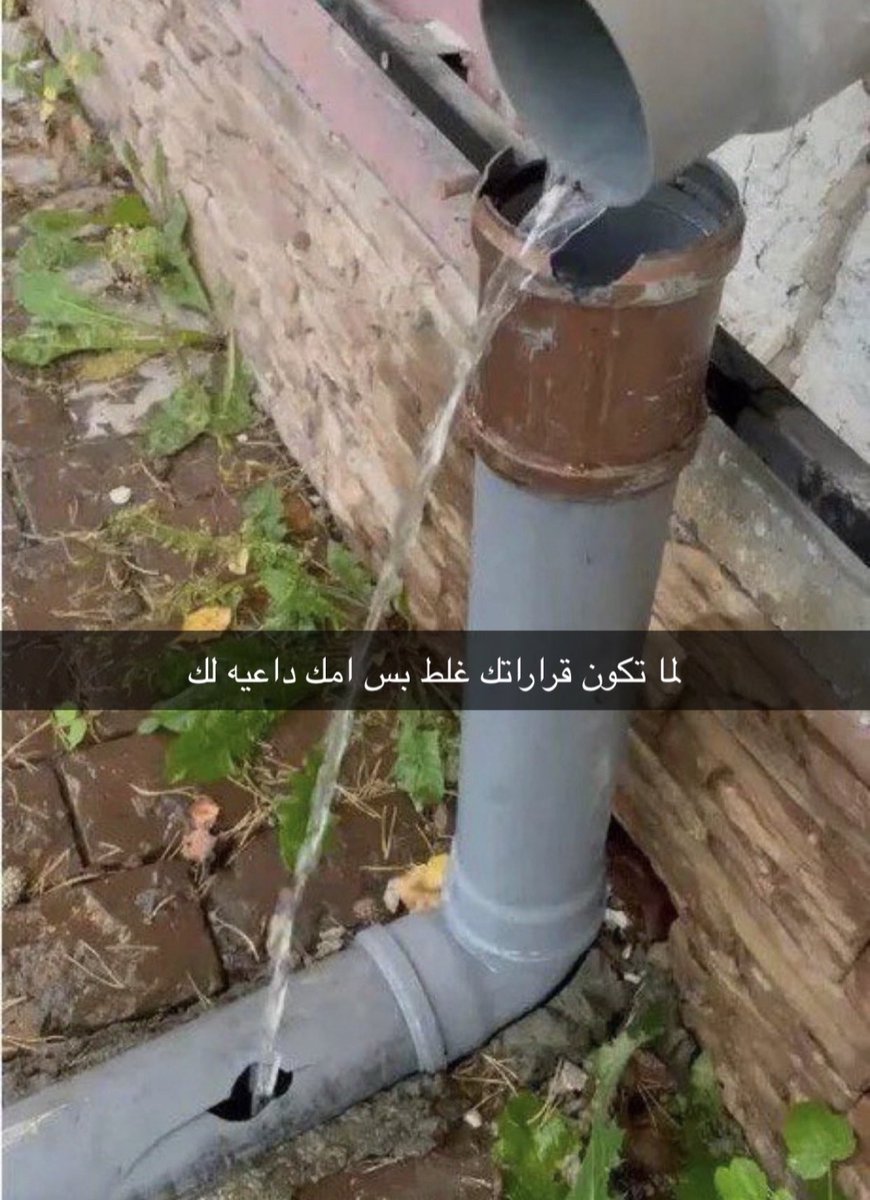 خائله tweet media