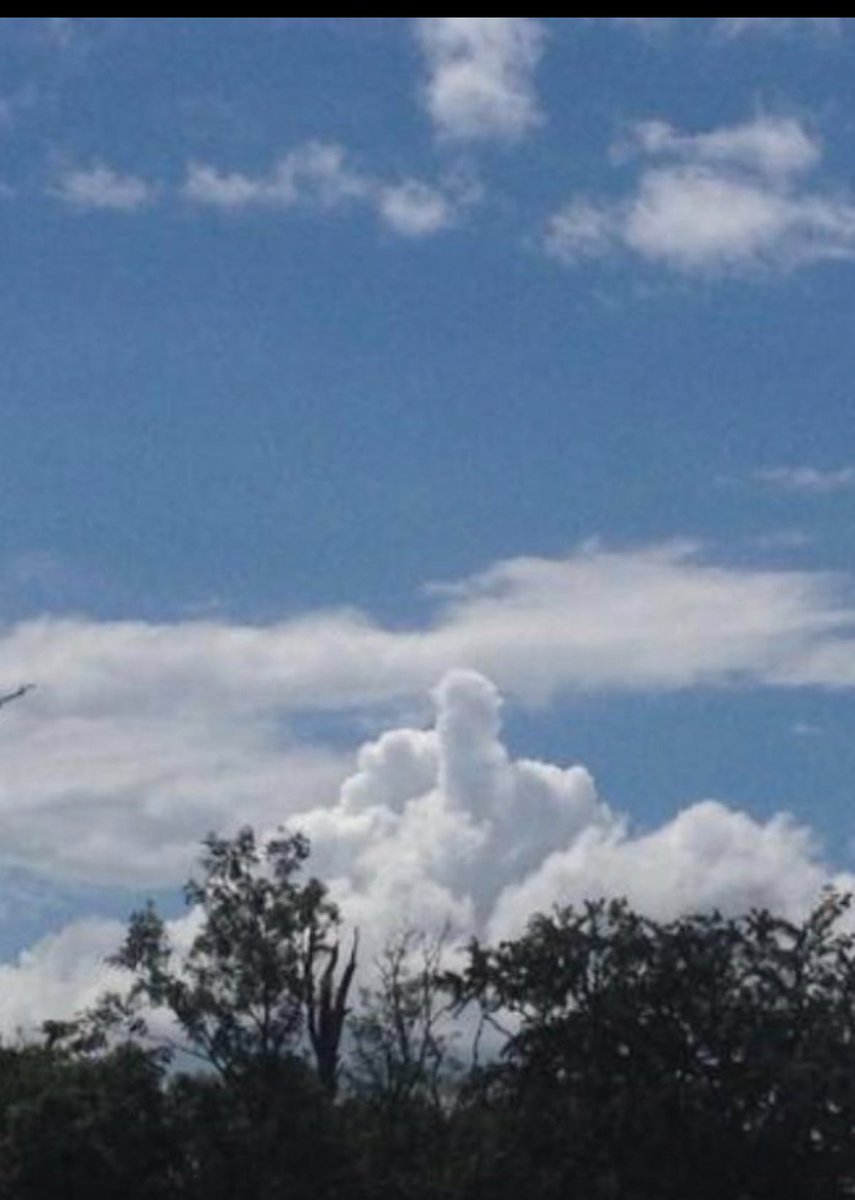 Daniel Glyn tweet media