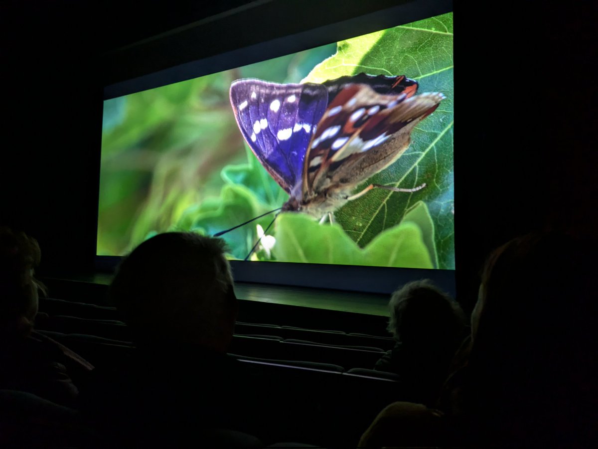 BOMaoileoin's tweet photo. 📽️ 200+ tickets booked for a screening of #Wilding yesterday evening in the Solstice Arts Centre in #Navan.
🌱 The enthusiasm and feedback from those who came along was hugely lifting!
👉 Big thanks to @GF_IRE for co-hosting and @NPWSIreland for supporting delivery 🙏 #LBAF https://t.co/ov7PEKt8Cr