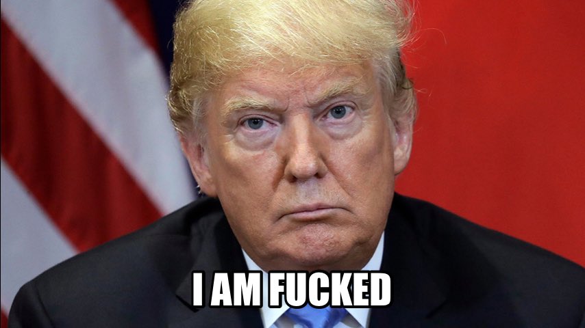 Tommy 🇺🇦💙🏳️‍🌈☘️ tweet media