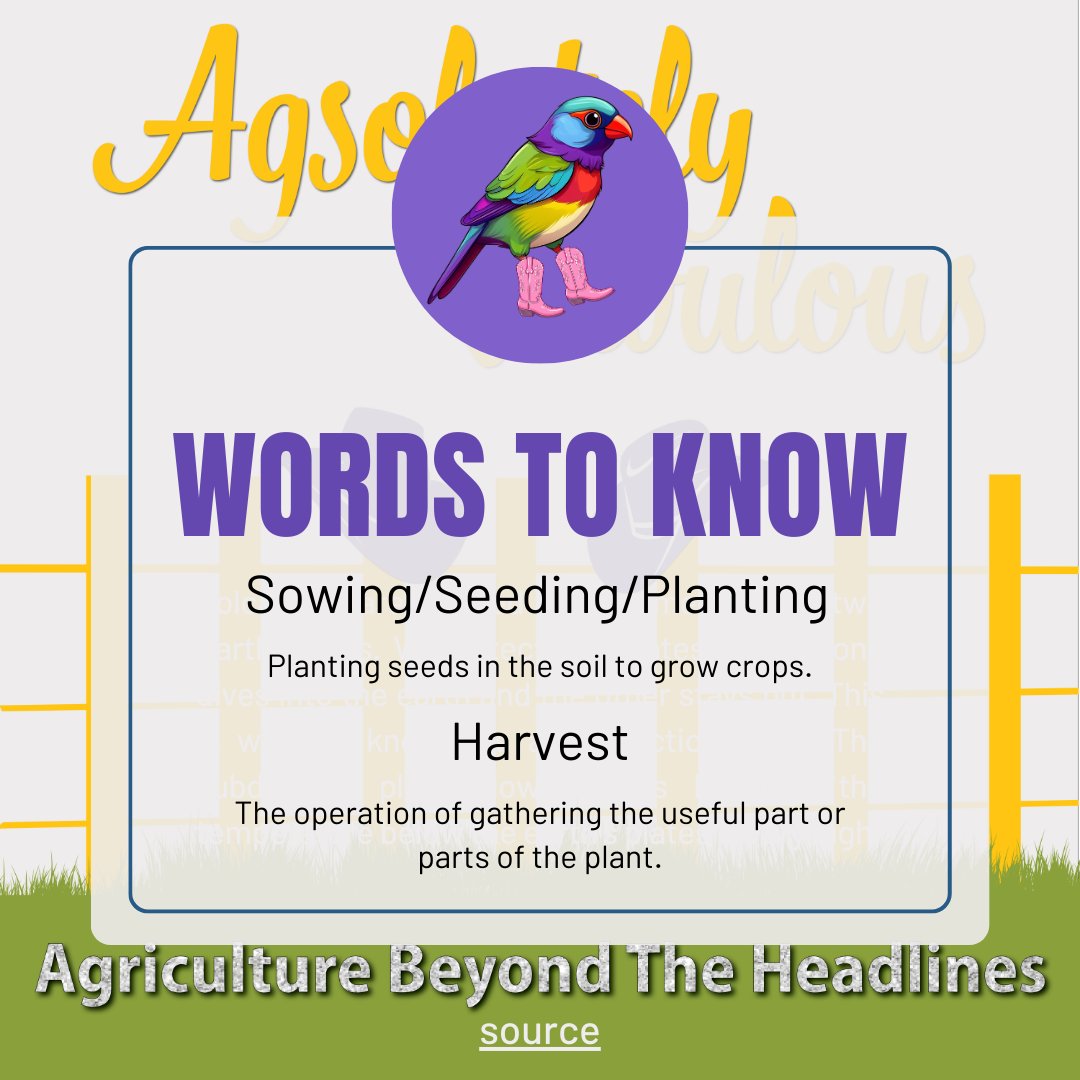 Follow us for a handy explainer of all things agriculture &amp; make sure you tune into the podcast on Friday at 5pm to hear all about it!

#ausag #auspol #agchatoz #agpodcast #stationlife #farmlife