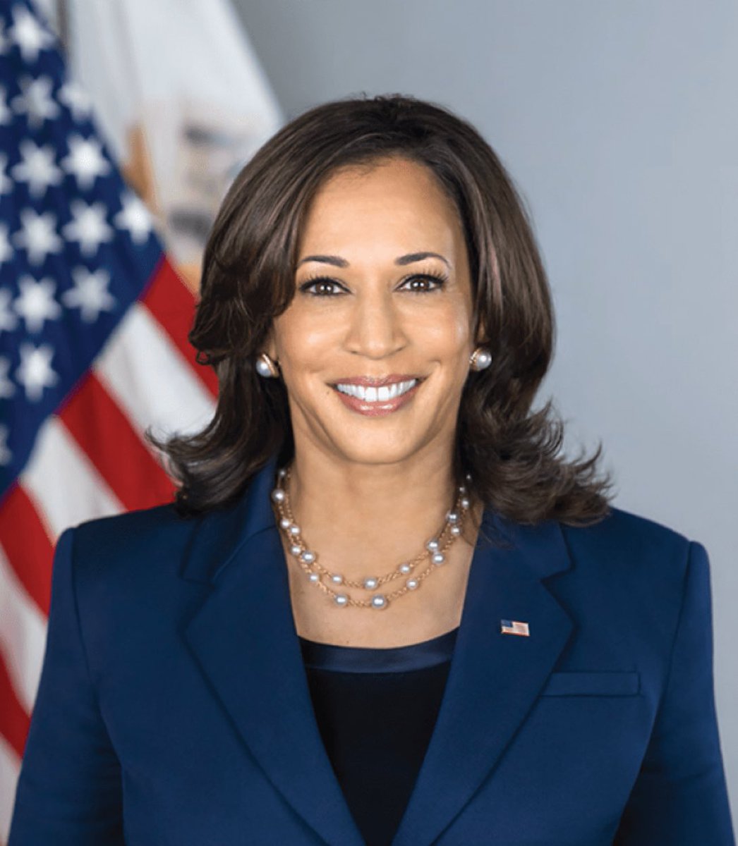 JamesBlake_Tx's tweet photo. @KamalaHQ when we fight we WIN !  #VeteransForHarrisWaltz #VoteKamala #Harris_Walz2024 #MadamPresident https://t.co/gzRMKSGosL