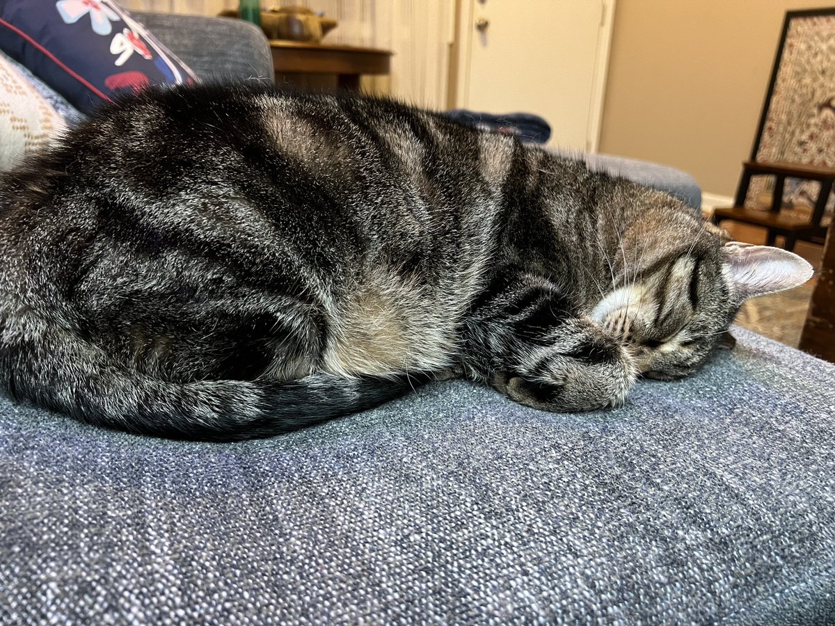 Cait Johnson tweet media