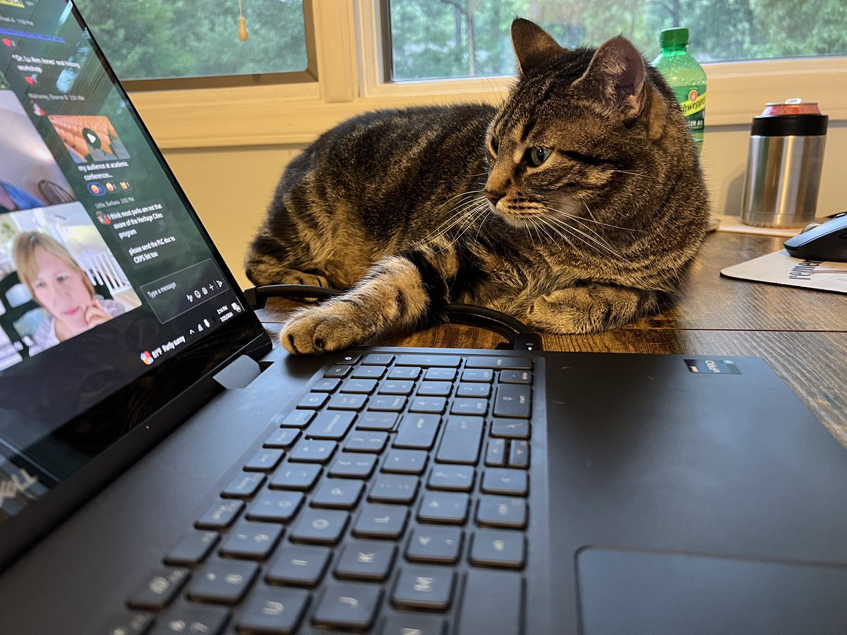 Cait Johnson tweet media