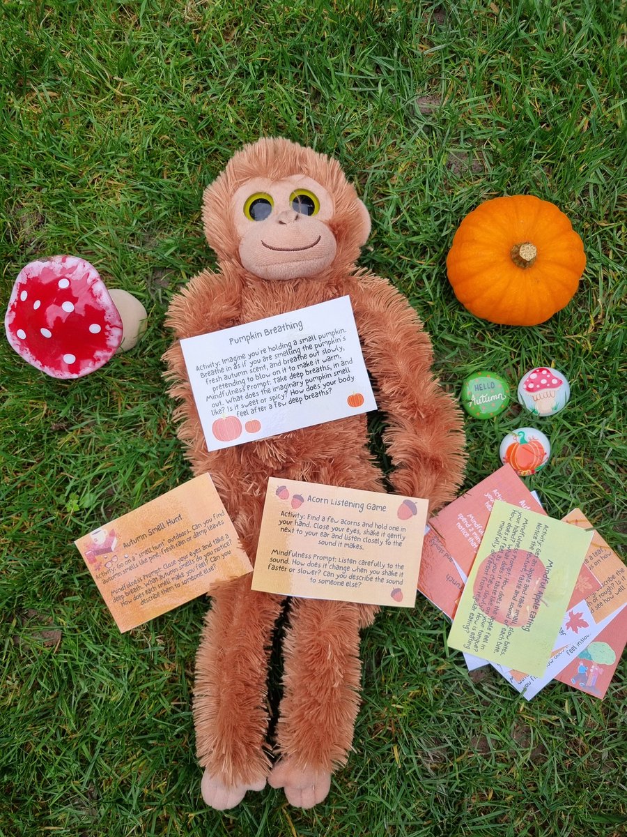 mindful_explore's tweet photo. Would you like a set of my free Autumn Mindfulness Activity cards! You can find the link to them here https://t.co/w7F0eUhM5T https://t.co/UkrxJxrmY3