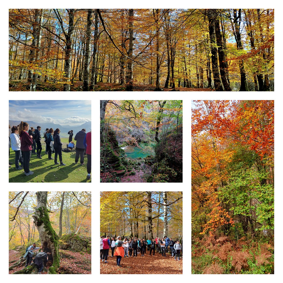 Ana M. Sánchez Álvarez (@anaraucaria) on Twitter photo Espectacular día de otoño en Urbasa con los estudiantes de Ecosistemas Ibéricos, Adrián Escudero e <a href="/Imartinezlichen/">Isabel</a> <a href="/BiologiaURJC/">Biología URJC</a> <a href="/BiodiversosU/">biodiversos.urjc</a> <a href="/ESCET_URJC/">ESCET (URJC)</a> Espectacular día de otoño en Urbasa con los estudiantes de Ecosistemas Ibéricos, Adrián Escudero e <a href="/Imartinezlichen/">Isabel</a> <a href="/BiologiaURJC/">Biología URJC</a> <a href="/BiodiversosU/">biodiversos.urjc</a> <a href="/ESCET_URJC/">ESCET (URJC)</a>