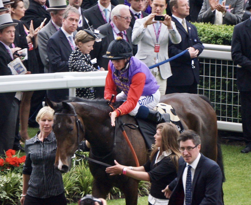 This man gave me one of my most prized in person racing memories- in 2013, the Queen won the Gold Cup at Royal Ascot with her horse, Estimate.  She was beside herself with happiness, which in turn, made all of us happy.  Happy Retirement, Sir Michael Stoute!