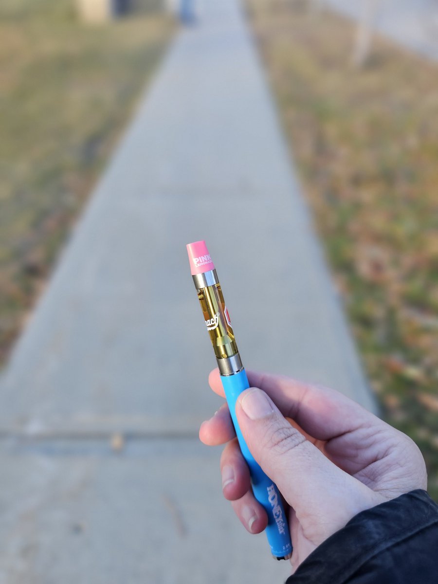 AwesmumTTV's tweet image. Cold doggo walk enjoying some #pinklemonade from @spinachfarms. I think this is one of my faves 💖