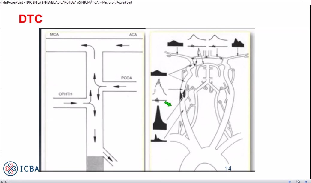 Eduardo Filipini tweet media