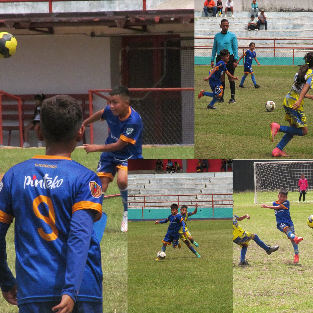 Universitarios Futbol Club tweet media