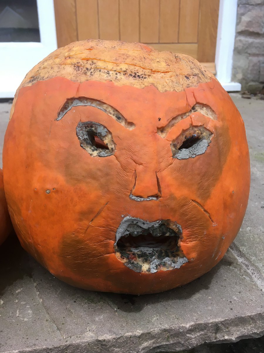 oybat's tweet image. America needs to sit on him until he finally rots away.