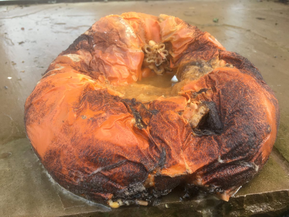 oybat's tweet image. America needs to sit on him until he finally rots away.