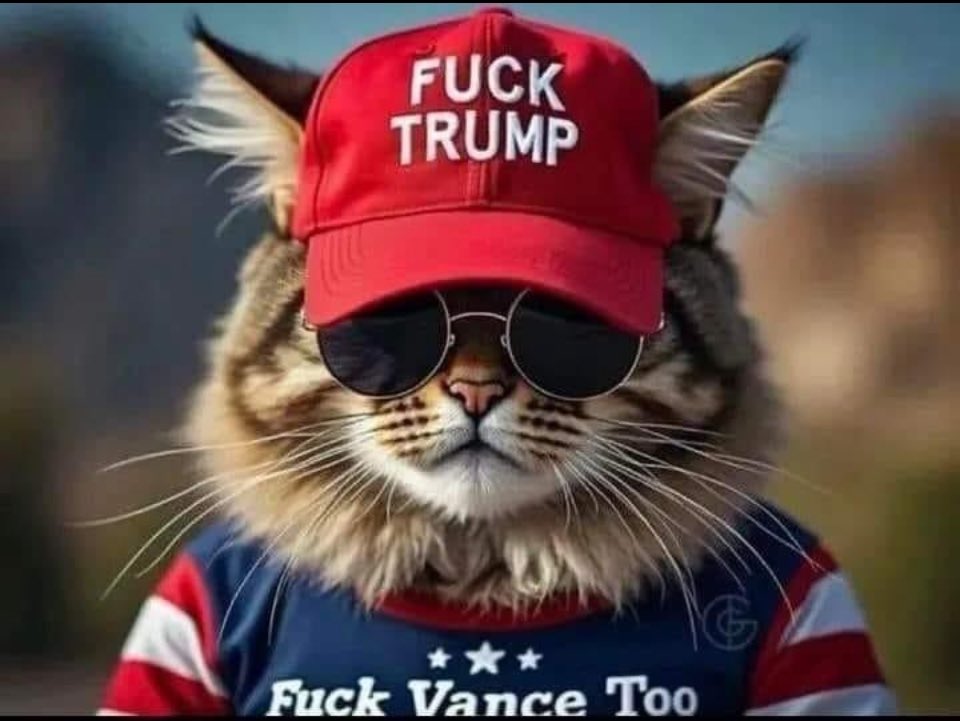 royalmusing's tweet photo. From Harper and Fleur. #CatsForKamala #ElectionDay  #HarrisWalz https://t.co/6z9kB36S5B