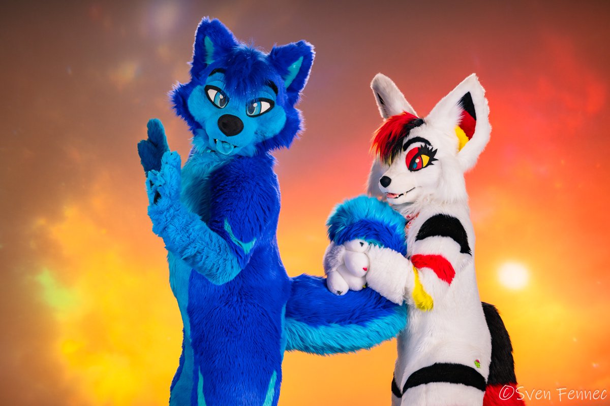 Must grab the tail! 
📸: @/SvenFennec
#furry #furries #furryfandom #furrycommunity #fursuit #fursuiter #Furpocalypse #Furpoc #foryoupage #fyp