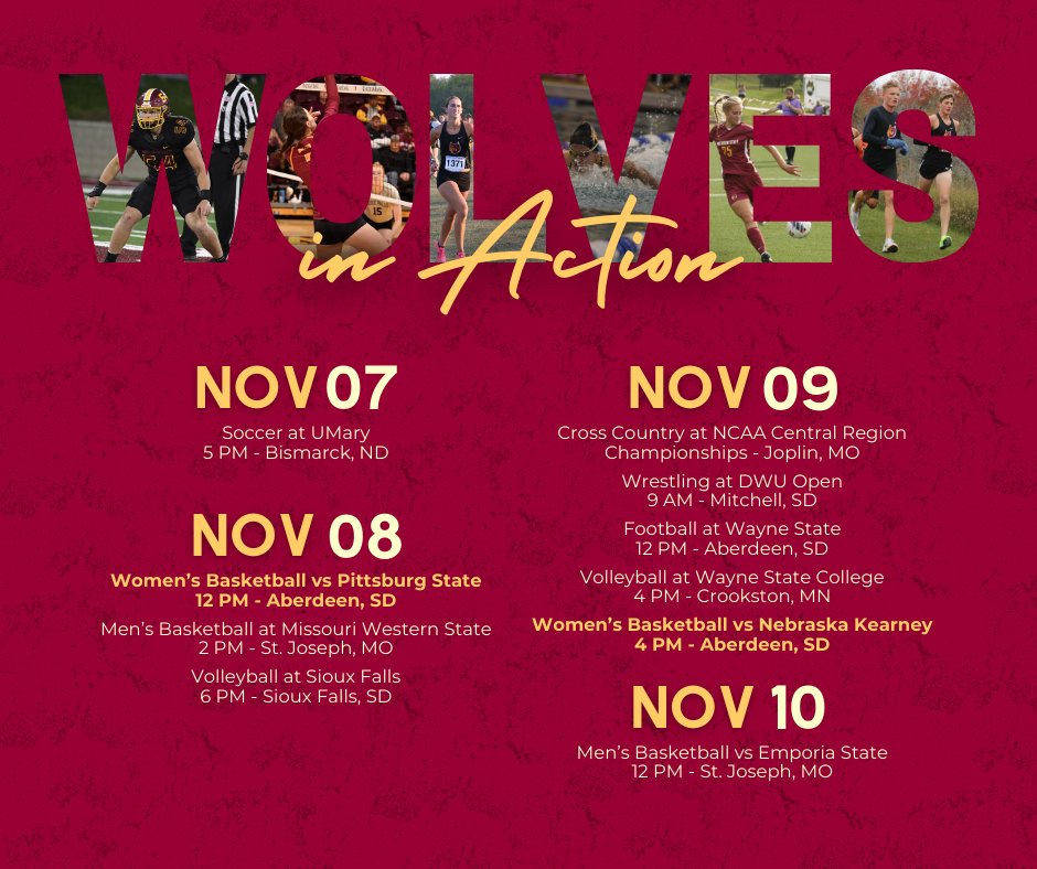 AlumniNSU's tweet image. #WolvesinAction 🐺🐾