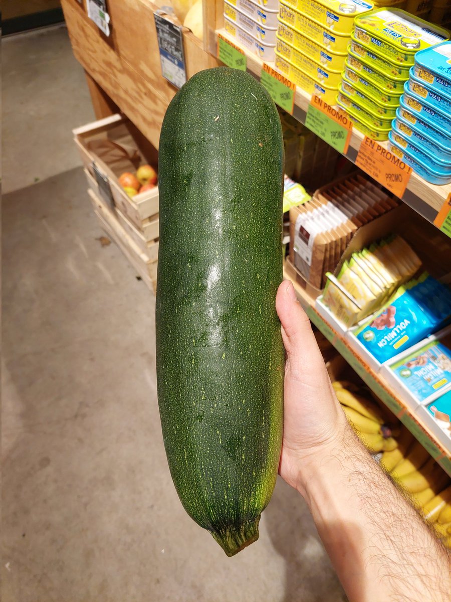 sigmundberg's tweet photo. true zucca https://t.co/WsakOUjGRo