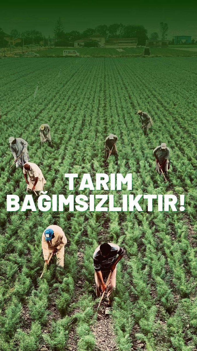 Sezaiiozat's tweet photo. @ibrahimyumakli Tarım sektörünün sorunları gündemde. Çözüm basit: Ziraat mühendislerini kamuda istihdam etmek! #YumaklidanZiraateAtama @ibrahimyumakli @TCTarim @VahitKirisci @bekirgizligider @akadirpolat1 @AhmetGumen @ahmtbgc @AyhanBarut01 @muharremvarli01 https://t.co/dDlF9M3Ma9