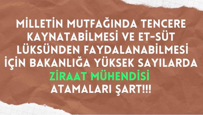 Sezaiiozat's tweet photo. @ibrahimyumakli Tarım sektörünün sorunları gündemde. Çözüm basit: Ziraat mühendislerini kamuda istihdam etmek! #YumaklidanZiraateAtama @ibrahimyumakli @TCTarim @VahitKirisci @bekirgizligider @akadirpolat1 @AhmetGumen @ahmtbgc @AyhanBarut01 @muharremvarli01 https://t.co/AlbKDNcTTa