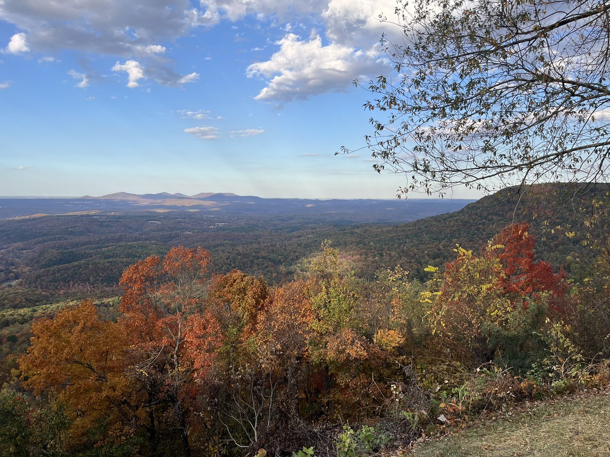 Mark Van Baale tweet media