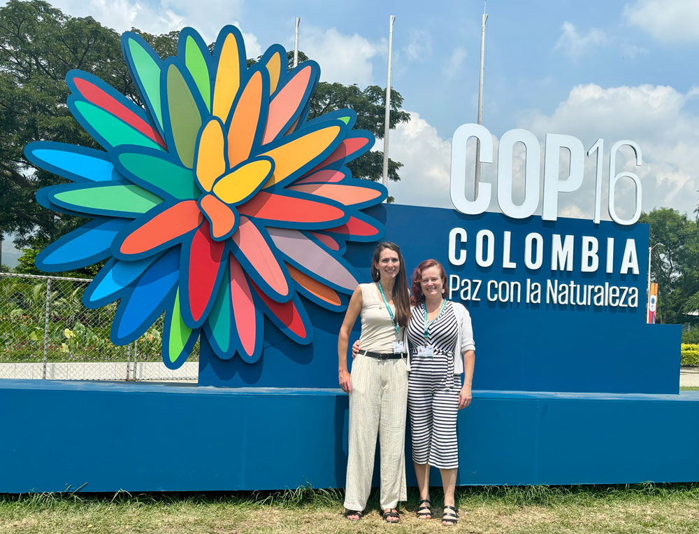 CPAWSNAB's tweet photo. Why is it so important for #ENGOs who are not signatories to the convention, nor representatives of a state party, to be present at #COP16? Read more about our role at COP16: https://t.co/6sxAx9clxz https://t.co/wiDbxESujq